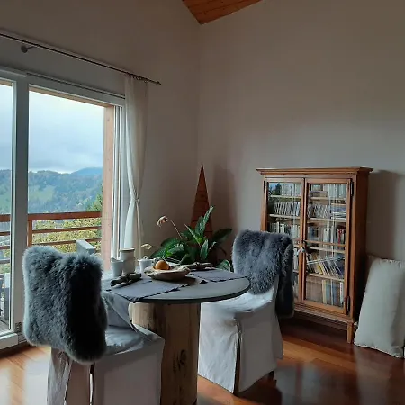 Chalet Künstner *