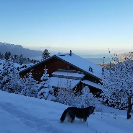 Privatunterkunft Chalet Künstner